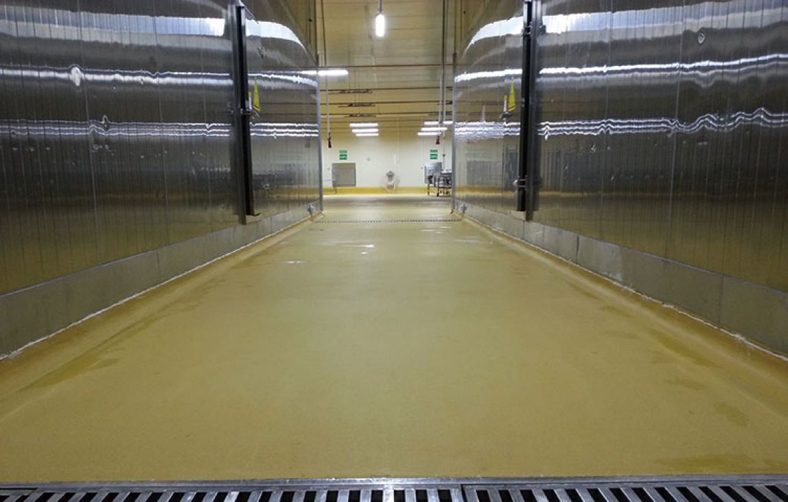 1559017950681020.jpg 1559017950681020.jpg