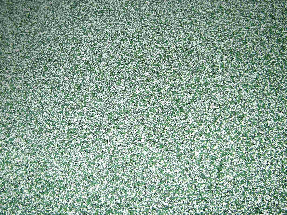 1559029228111968.jpg 1559029228111968.jpg